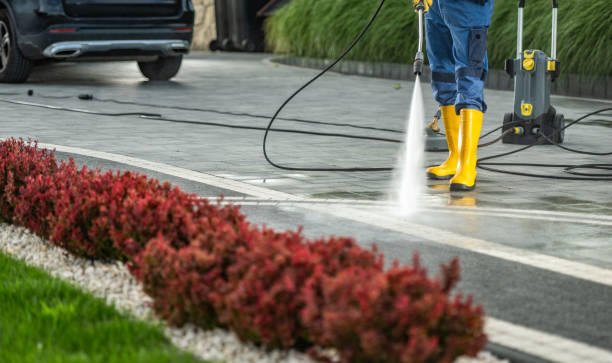 Best Vinyl Siding Pressure Washing in East Chicago, IN